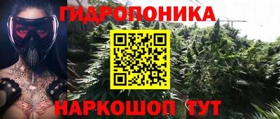 гидропоника Мариинск