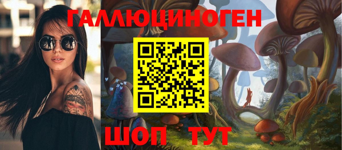 Галлюциногенные грибы Psilocybe Россошь