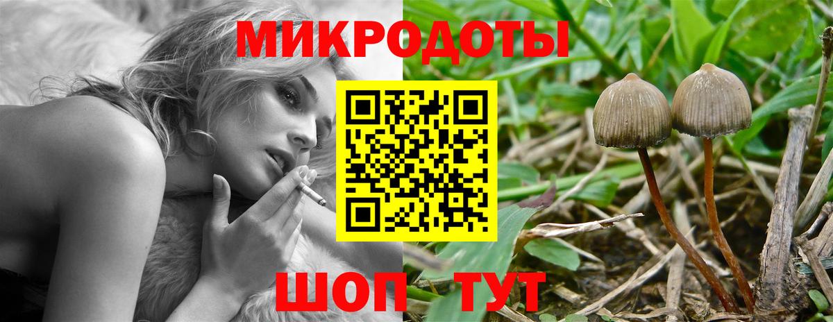 Псилоцибиновые грибы Psilocybe  Вход с VPN  Псилоцибиновые грибы Cubensis  Россошь 